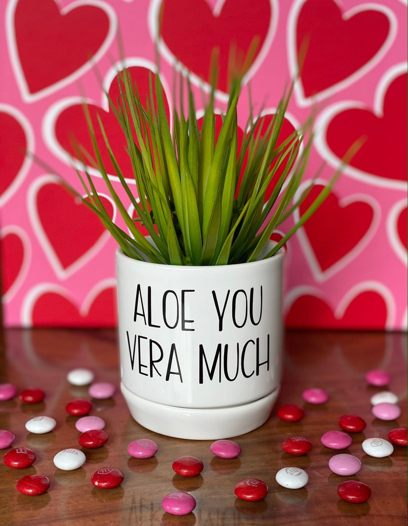 Aloe You Vera Much Punny Succulent Planter image 1