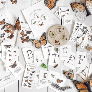 May include: A butterfly life cycle learning set with a variety of educational materials, including a butterfly chart, alphabet cards, memory game cards, and a life cycle wheel. The set also includes several butterfly cutouts and a butterfly writ study book.