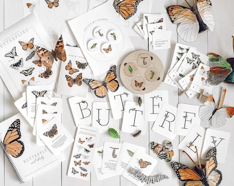 Schmetterling Einheit Studie / Homeschool Einheit Studie / Kindergarten Schmetterling Lernen / Lernen über Schmetterlinge / Digital Download Einheit Studie