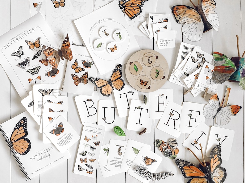 Butterfly Unit Study / Homeschool Unit Study / Kindergarten Butterfly ...