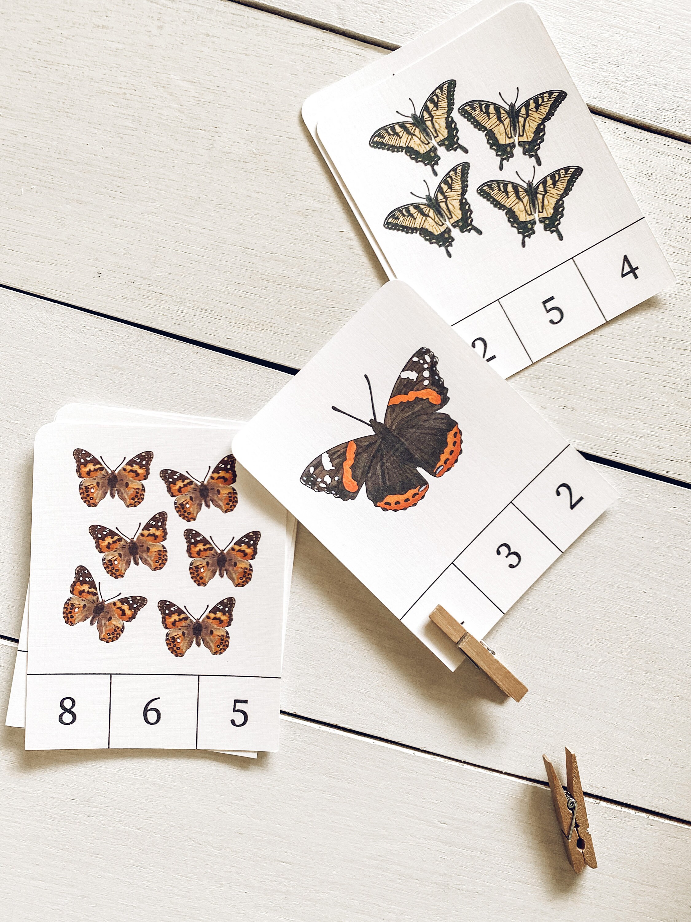 Butterfly Unit Study / Homeschool Unit Study / Kindergarten Butterfly ...