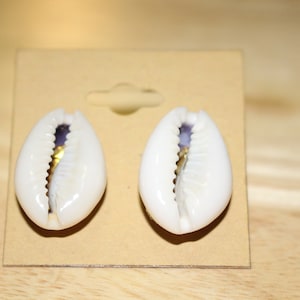 Cowrie Studs