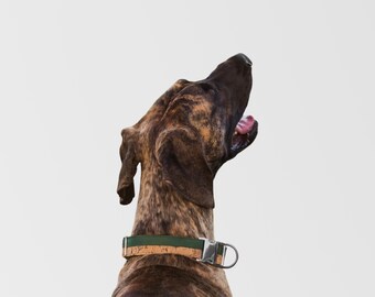 Dog cork Collars / Colliers pour animaux