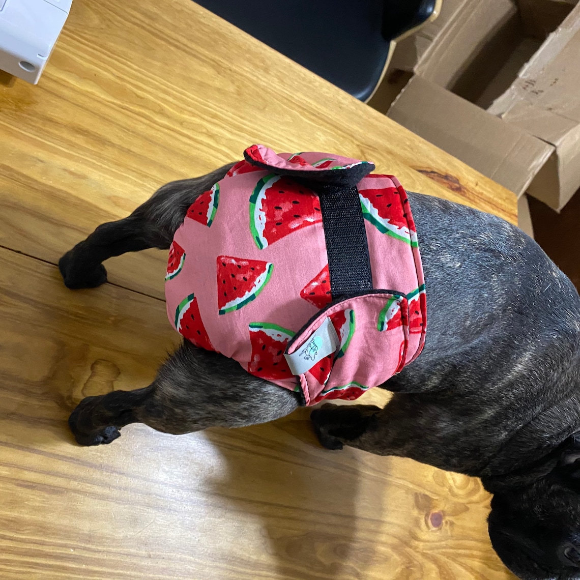French bulldog diapers female heat purpose/ couche | Etsy