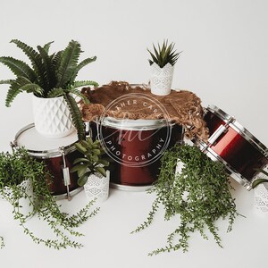 Newborn Digital Backdrop 2 Pack Drummer, Boho, Succulents