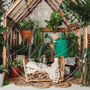 Boho Rattan Bed Greenhouse Plants Newborn Digital Backdrop