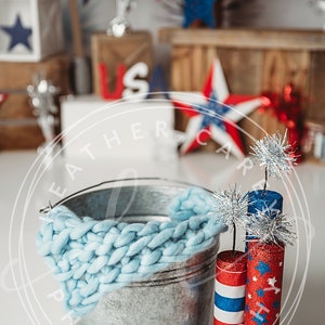 4th of July Firework Newborn Digital Backdrop
