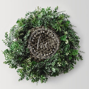 Succulent wreathe green newborn digital backdrop