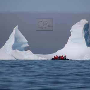 Iceberg Curiousity
