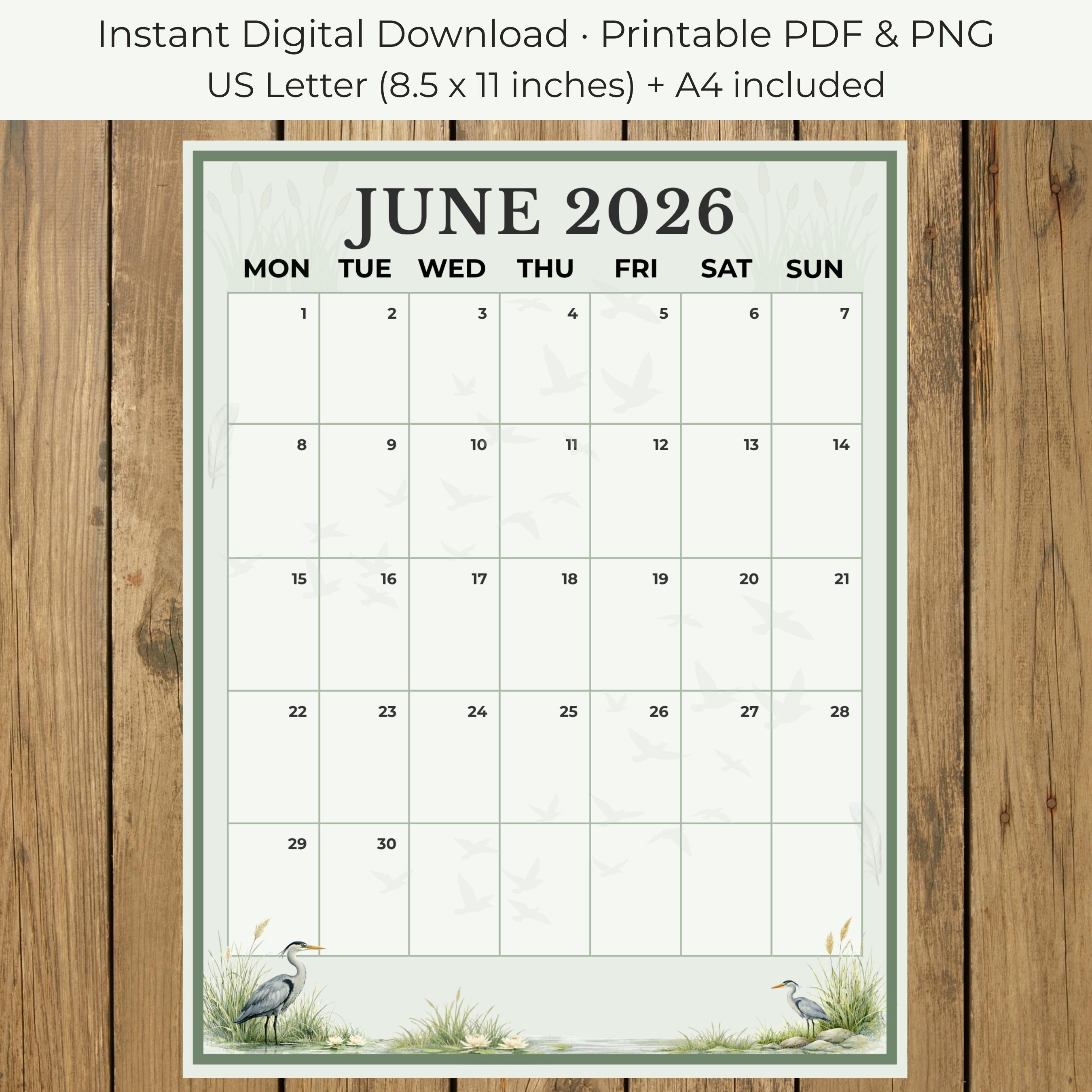 June 2026 Calendar Printable PDF PNG, Monthly Planner, US Letter & A4