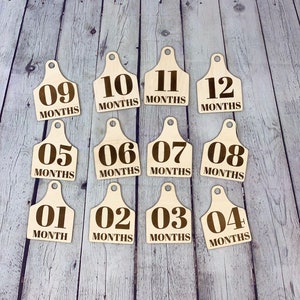 Farm Animal Tag Monthly Milestone Photo Discs I Engraved Monthly Milestone I Baby Milestone Cards I Monthly Photo Props I Baby Shower Gift