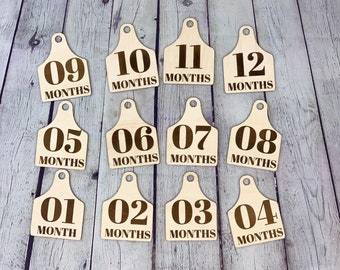 Farm Animal Tag Monthly Milestone Photo Discs I Engraved Monthly Milestone I Baby Milestone Cards I Monthly Photo Props I Baby Shower Gift
