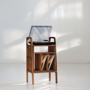 Minimalist vinyl record storage, Handmade Furniture, Media Console, Walnut Bookshelf, Book shelf, Scandinavian bookcase