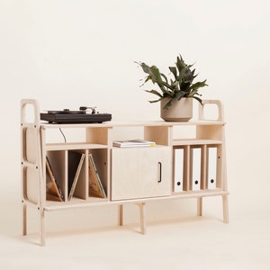 Vinyl cabinet, Media cabinet, record player stand, TV stand, media console, midcentury modern Scandinavian sideboard, Home Office