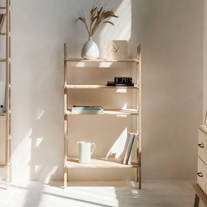 Libreria scandinava, Libreria di metà secolo, Moderno di metà secolo, Arredamento scandinavo, Libreria, Libreria in noce, Libreria in legno, Japandi