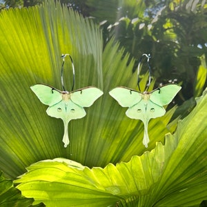 Luna Moth Earrings, Green Butterfly Acrylic Handmade Earrings on Hoop, Insect and Bug Earring