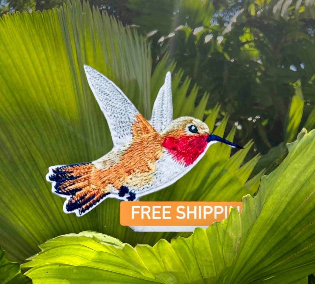 Hummingbird Iron on Patch - Etsy
