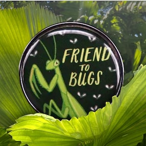 Friend to Bugs pin, praying mantis pin,