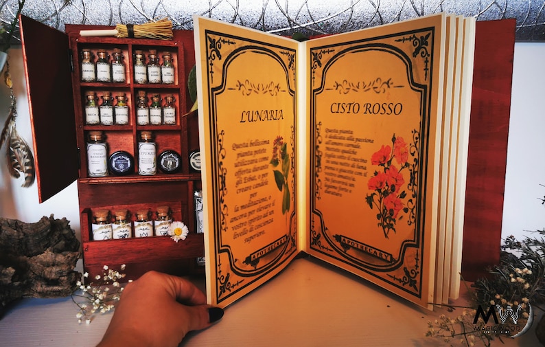 Das geheime Buch der magischen Kräuter seltene HERBS Hexerei | Etsy