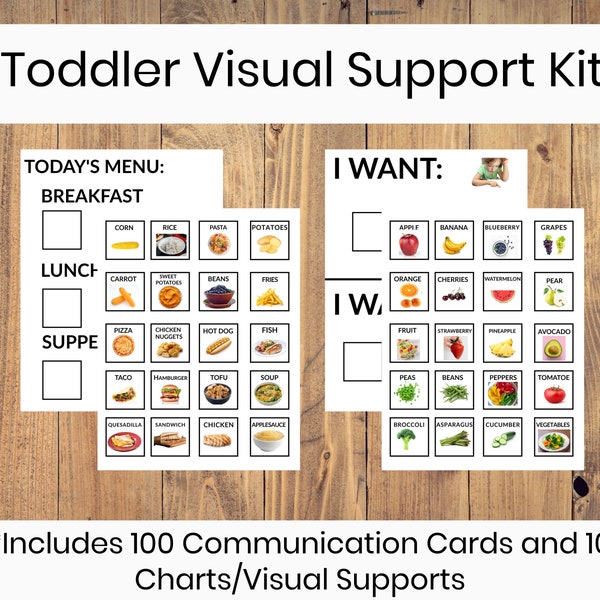 Toddler Preschool Visual Support Kit/ 100 Vocabulary Cards/ Charts/Schedules/ Classroom / Communication Set/ Early Literacy /Language