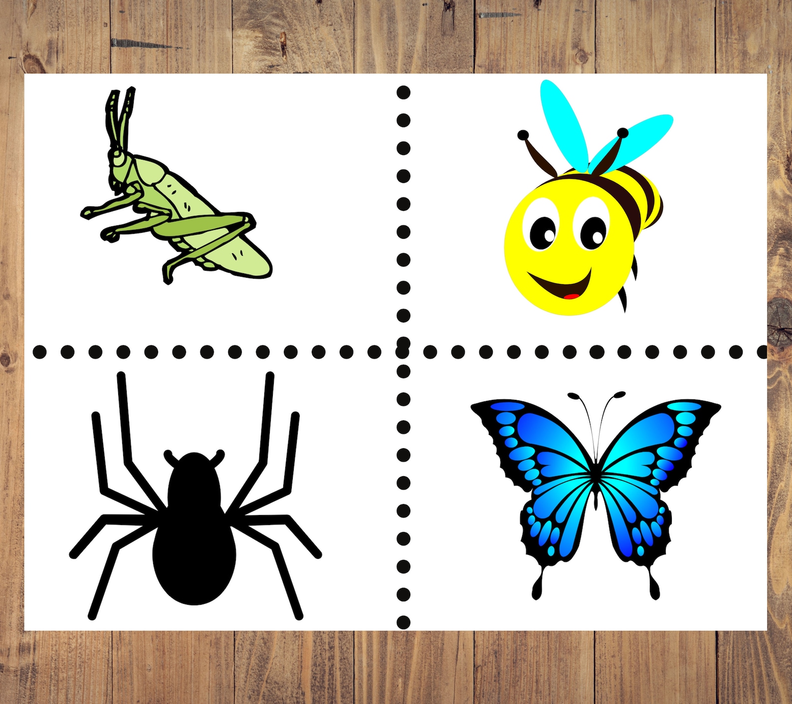 Bug Color Sorting Color, Sorting, Learning With Bugs Game, Printable Toddler Preschool ...