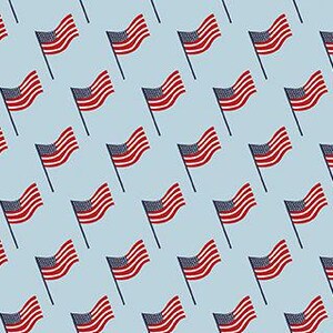 Stars and Stripes Forever Flags Sky by Lori Whitlock for Riley Blake, 1/2 Yard - Cut Continuously, C15713-SKY