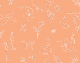Wildwood Wander Sketchbook Peach by Katherine Lenius for Riley Blake Designs, 1/2 Yard - Cut Continuously, C12432-PEACH