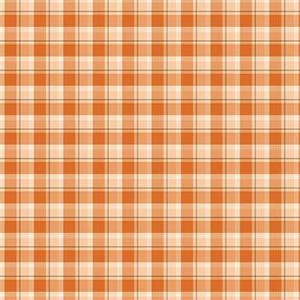 The Awe of Autumn Plaid Orange by Sandy Gervais for Riley Blake Designs, 1/2 Yard - Cut Continuously, C16193-ORANGE