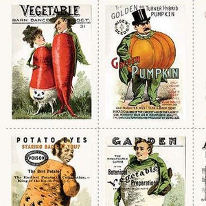 May include: Four vintage seed packet illustrations. The top left image shows a couple dressed as vegetables, the top right shows a man dressed as a pumpkin, the bottom left shows a man dressed as a potato, and the bottom right shows a man dressed as a cabbage. The text on the packets reads "Vegetable", "Golden of Turner Hybrid Pumpkin", "Potato Eyes Staring Back at You?", and "Garden".