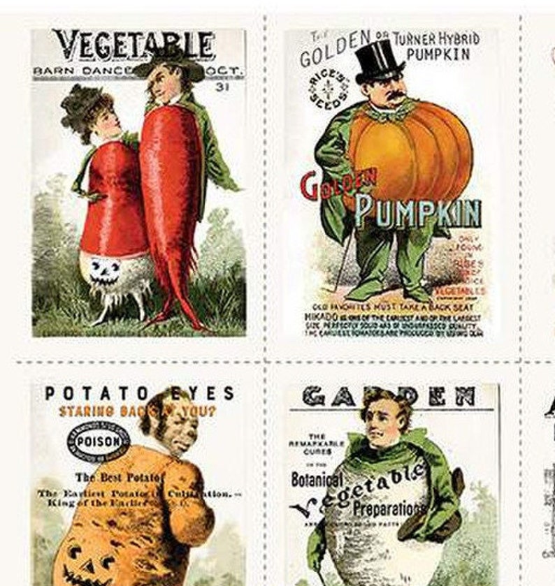 May include: Four vintage seed packet illustrations. The top left image shows a couple dressed as vegetables, the top right shows a man dressed as a pumpkin, the bottom left shows a man dressed as a potato, and the bottom right shows a man dressed as a cabbage. The text on the packets reads "Vegetable", "Golden of Turner Hybrid Pumpkin", "Potato Eyes Staring Back at You?", and "Garden".