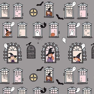 May include: A repeating pattern of windows with various Halloween themes.  Each window has a different scene, including witches, ghosts, candles, and spiderwebs.  The text "Old Salem School" appears in the center of the pattern.