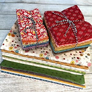 Kit de costura conjunta de Lori Holt: Cómo crear un edredón de espantapájaros con temática otoñal, diseñado por Lori Holt para Riley Blake Designs imagen 2