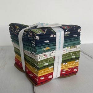 Love You S'more Fat Quarter Bundle (24 pieces), by Lori Holt for Riley Blake Designs, FQ-12140-24