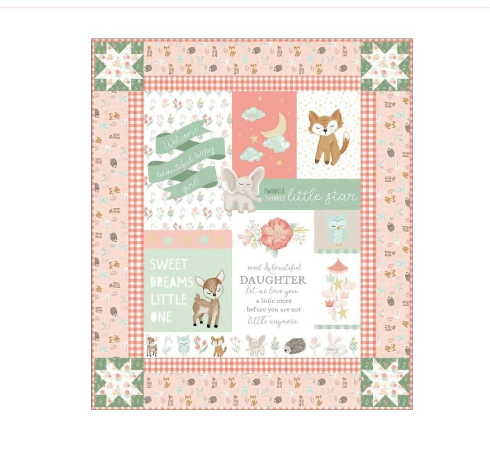 Joann Fabrics Echo Park Paper Company Bundle Of Joy Girl Collection Kit  Baby Girl