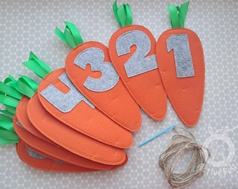 Felt Carrots with Numbers 0-10 Easter Activity, Montessori Classroom Carrots Garland, Kindergarten Spring Wall Decor