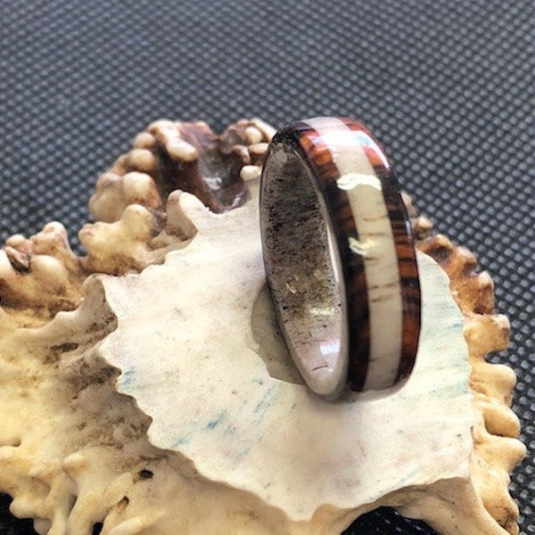 Whitetail Antler Ring with Cocobolo accents - Ring, Mens, Wedding, Anniversary, Gift, Inlay, Honeymoon, Antler, Wood, Cocobolo