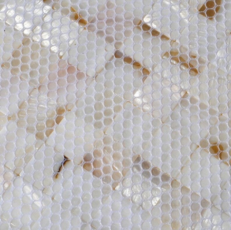 Groutless White Mother of Pearl Tile Backsplash MOP023 3D Sea Shell