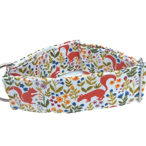 Floral Dog dog collar  with squirrels print