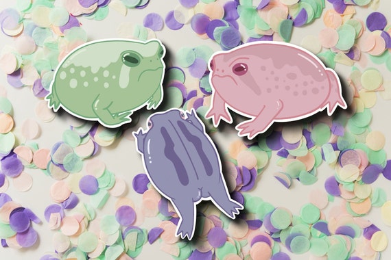 Desert rain frog earrings deals