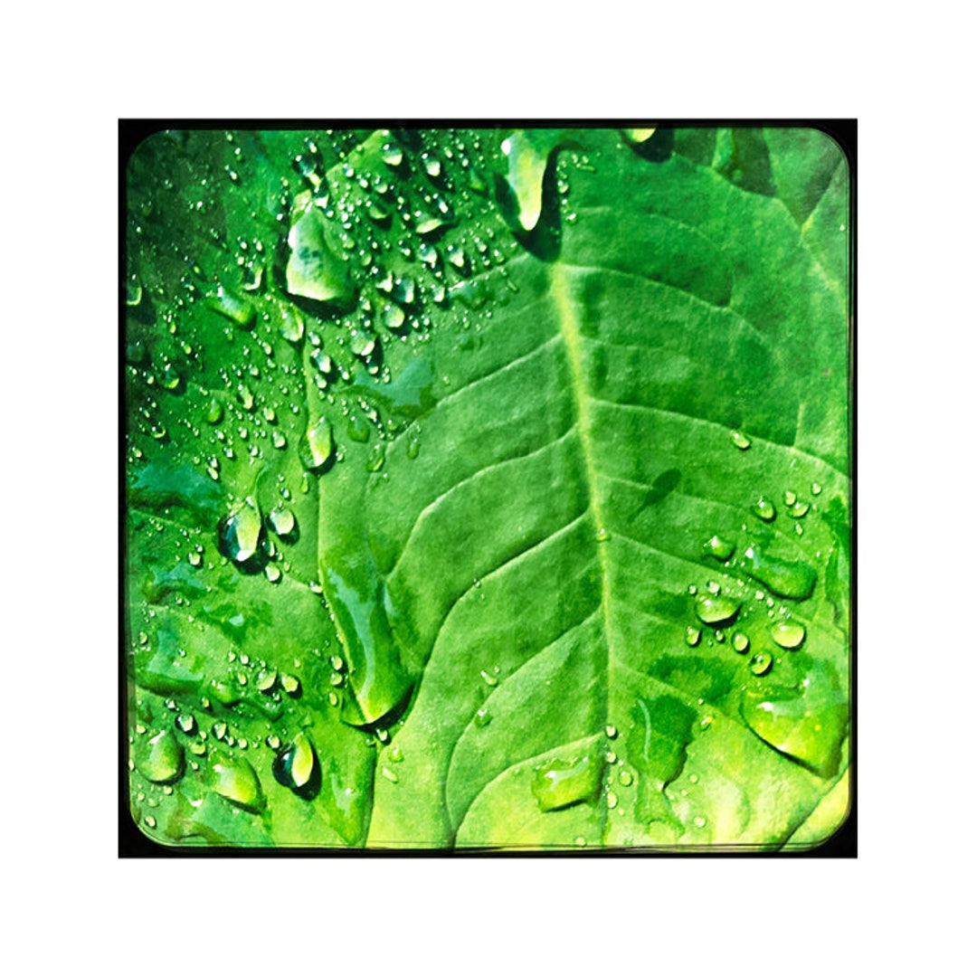 The Word is Juice Cards & Print Etsy