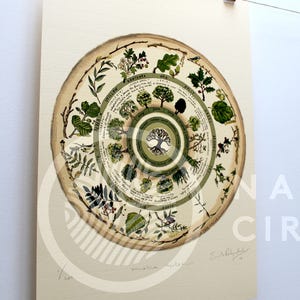 Celtic Tree Calendar Limited Edition 'Native Circles' Print by Irish artist Emily Robyn Archer image 3