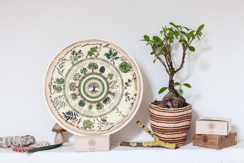 May include: A round, cream-colored plate with a circular design of green trees and leaves. The plate is on a wooden stand. There is a small potted plant with green leaves and a brown woven basket in the background. The plate has the text "Nature's Cycles" printed on it.