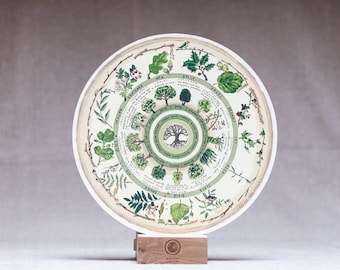 Celtic Tree Calendar - 'Native Circles' Birchwood Wheel by Irish artist Emily Robyn Archer