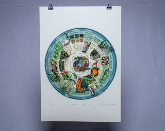 Veg Patch -what to plant & when - 'Native Circles' Limited Edition Print by Irish artist Emily Robyn Archer