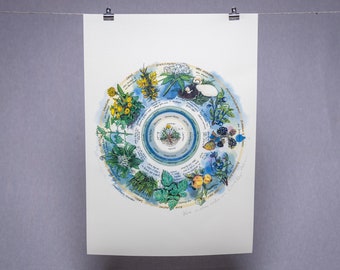 Seasonal Foraging -Hedgerow - 'Native Circles' Birchwood Wheel by Irish artist Emily Robyn Archer Draft