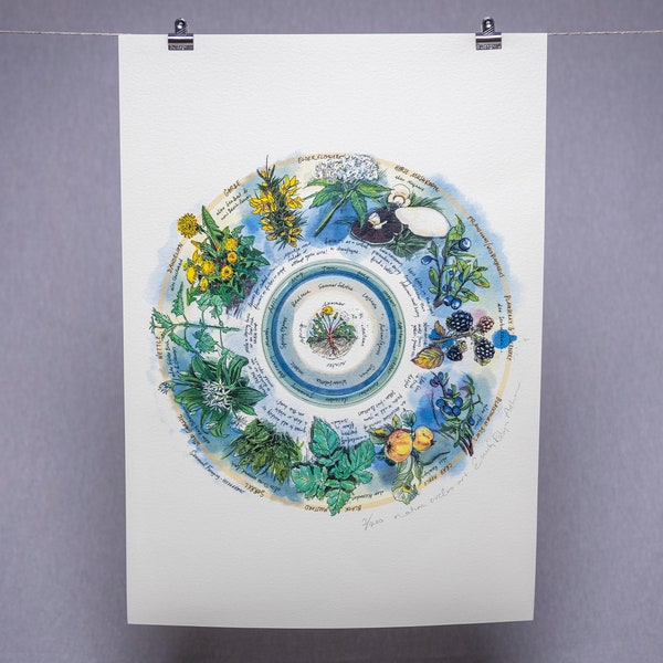 Seasonal Foraging, Hedgerow — Limited Edition Print on Paper. Signed and editioned by the artist Emily Robyn Archer.