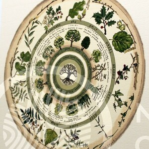 Celtic Tree Calendar Limited Edition 'Native Circles' Print by Irish artist Emily Robyn Archer image 4