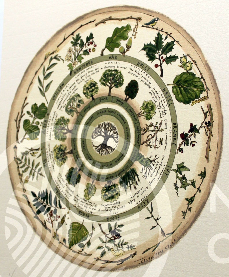 Celtic Tree Calendar Limited Edition 'Native Circles' Print by Irish artist Emily Robyn Archer image 4