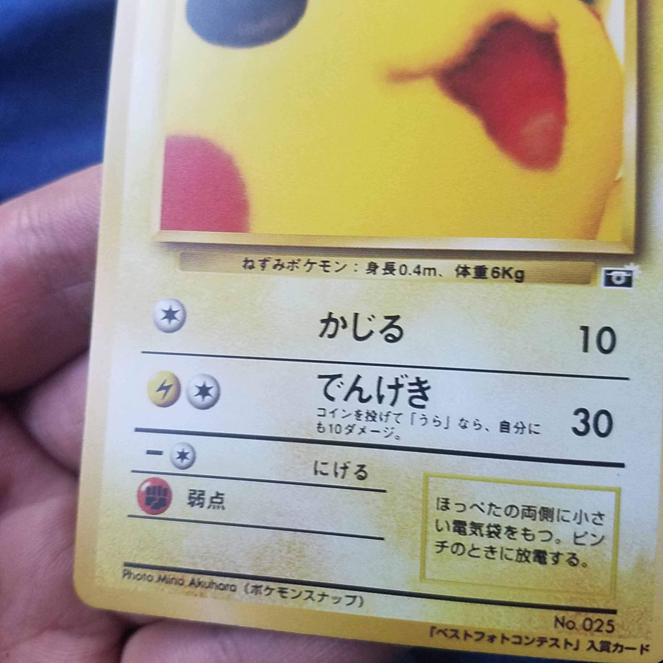 ポケモン コロコロベストフォトコンテスト プロモーションカード