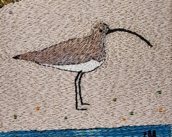 Shoreline Bird